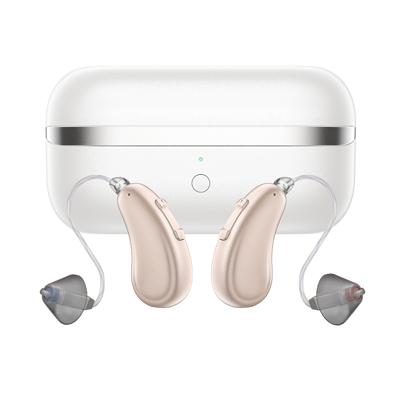BH-R55-02 Hearing Aids